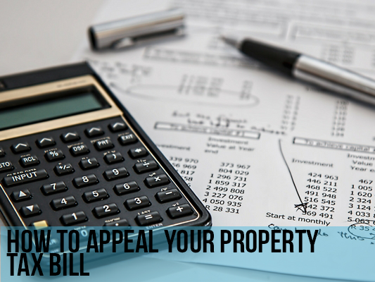 Property Tax appraisal protest